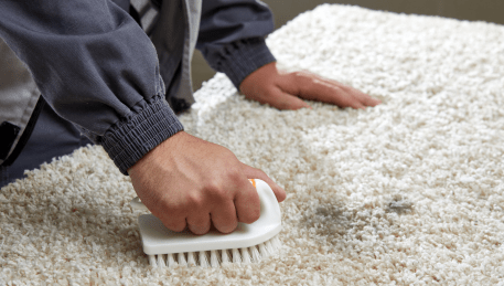 Professional Rug Cleaning Altona Gate